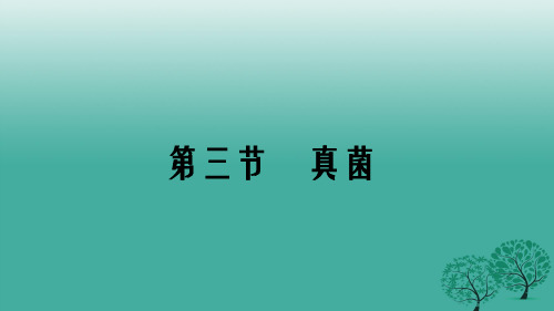 八年级生物上册 第五单元 第四章 第三节 真菌课件 (新版)新人教版