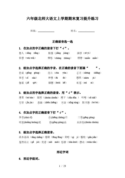 六年级北师大语文上学期期末复习提升练习