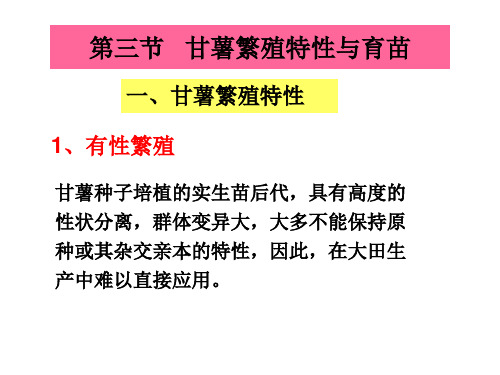 第三节 甘薯栽培技术