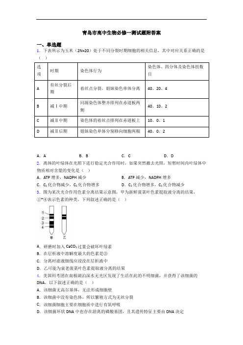 青岛市高中生物必修一测试题附答案
