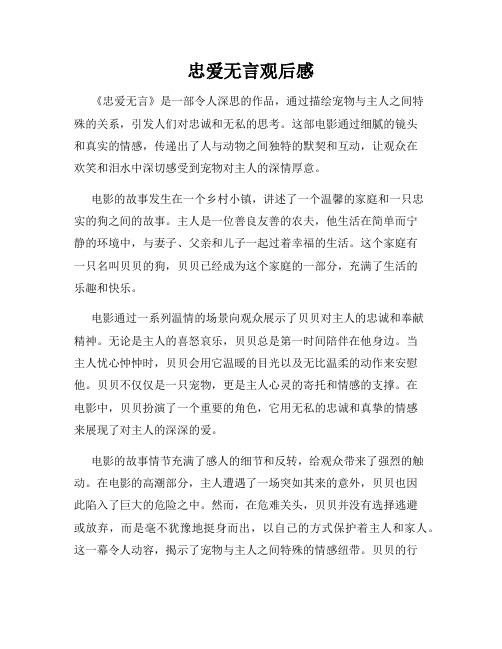 忠爱无言观后感