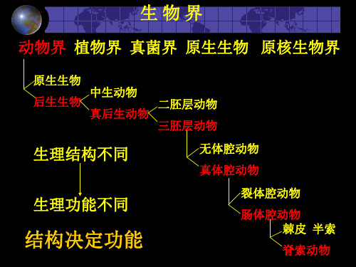 动物生理学 第 1次PPT课件