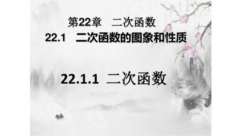 人教版九年级数学上册：22.1.1 二次函数  课件(共36张PPT)