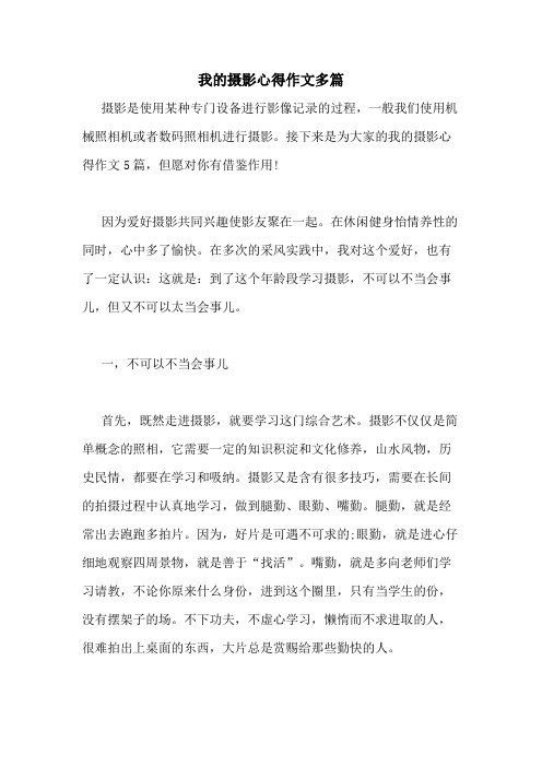 2020年我的摄影心得作文多篇