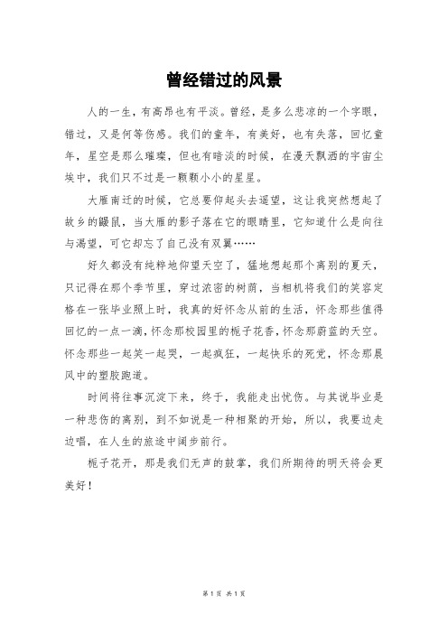 曾经错过的风景_初一作文