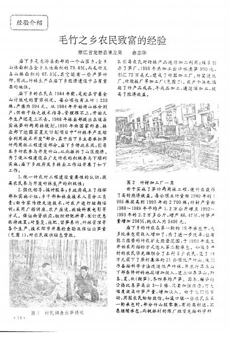 毛竹之乡农民致富的经验