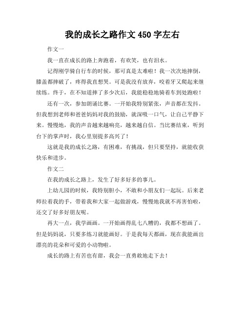 我的成长之路作文450字左右