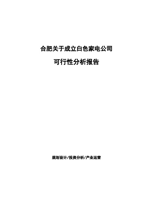 合肥关于成立白色家电公司可行性分析报告