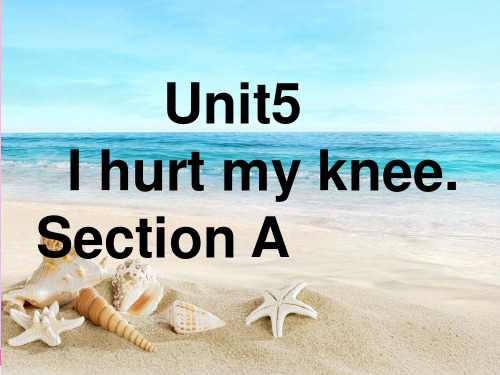 六年级上册英语课件-unit 5 i hurt my knee section a 湘鲁版