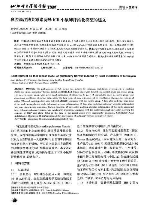 鼻腔滴注博莱霉素诱导ICR小鼠肺纤维化模型的建立