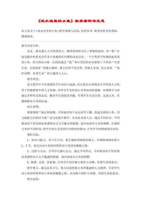 《浅水洼里的小鱼》教学案例与反思_教案教学设计