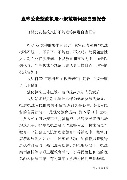 森林公安整改执法不规范等问题自查报告