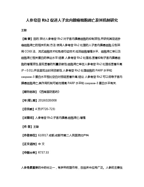 人参皂苷Rh2促进人子宫内膜癌细胞凋亡及其机制研究