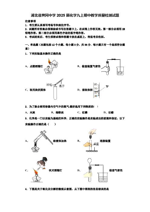 湖北省黄冈中学2025届化学九上期中教学质量检测试题含解析