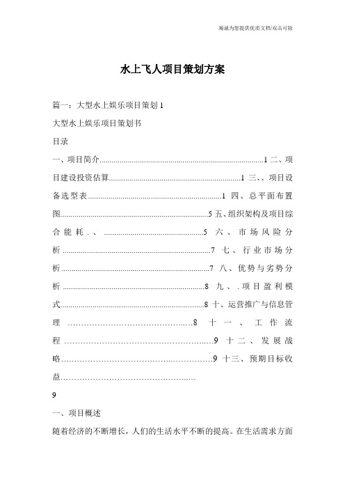 水上飞人项目策划方案