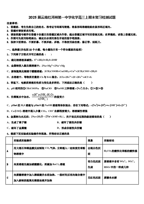 2025届云南红河州第一中学化学高三上期末复习检测试题含解析