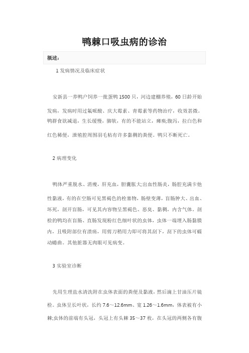 鸭棘口吸虫病的诊治