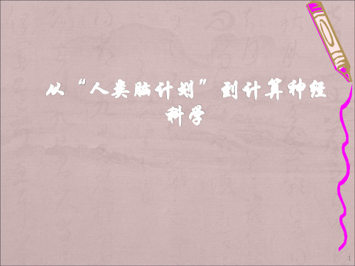 从人类脑计划到计算神经科学ppt课件