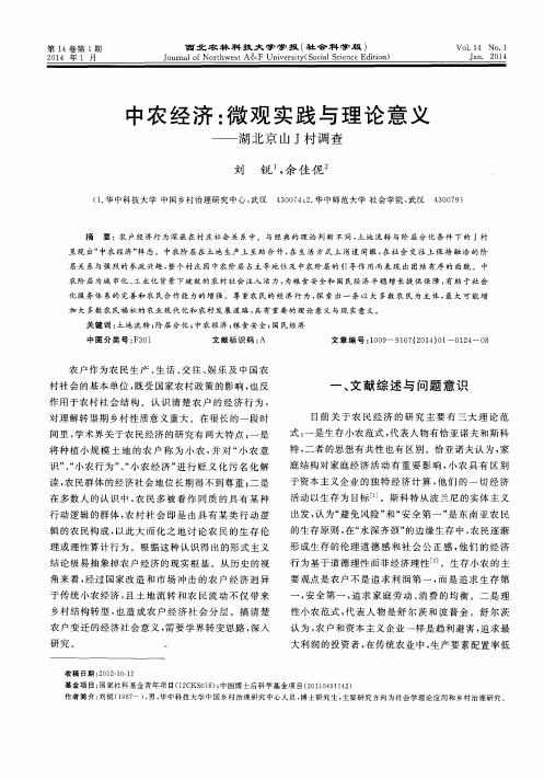 中农经济：微观实践与理论意义——湖北京山J村调查