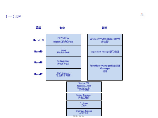 IBM与吉利职位体系(共2张)