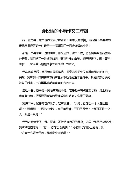 会说话的小狗作文三年级