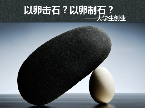 就业训练课第六讲——以卵击石？以卵制石？——大学生创业