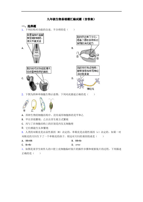 九年级生物易错题汇编试题(含答案)