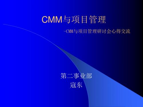 CMM与项目管理(PPT89页)精品资料