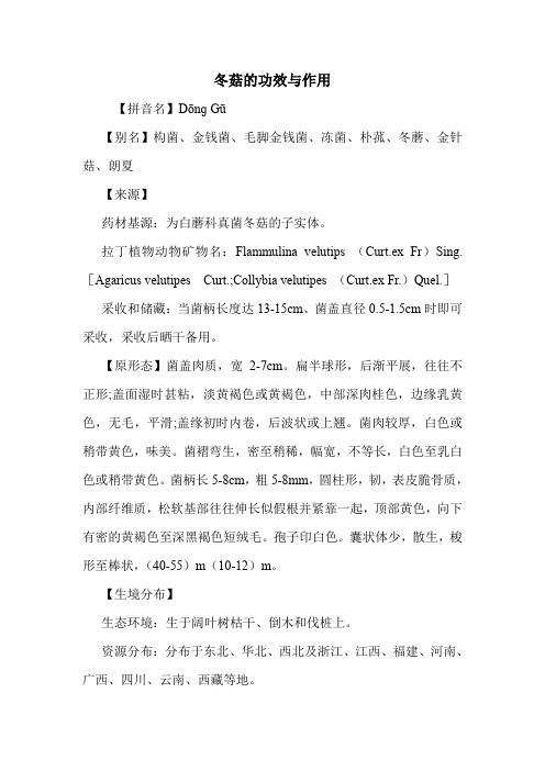 冬菇的功效与作用_0