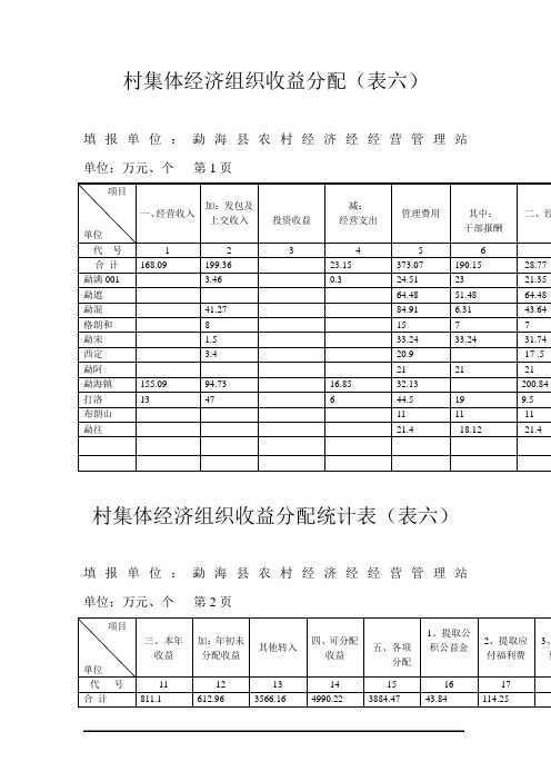 村集体经济组织收益分配(表六)