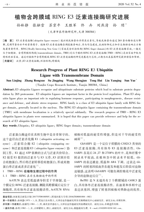 植物含跨膜域RING E3泛素连接酶研究进展