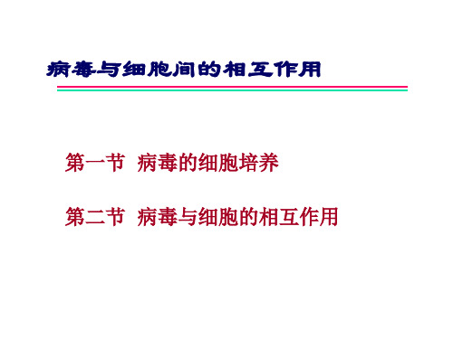 第24章 病毒与细胞的相互作用.ppt