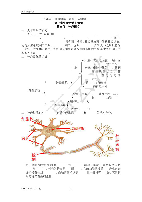 八年级上册科学第三章第三节学案