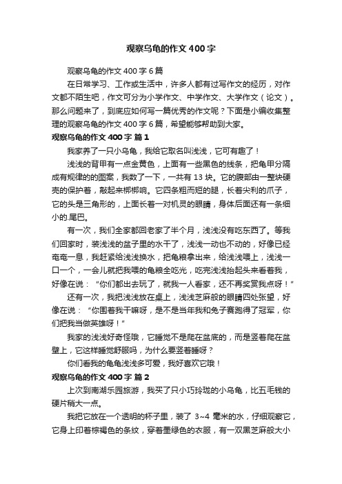 观察乌龟的作文400字