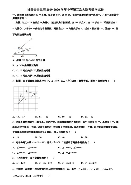 甘肃省金昌市2019-2020学年中考第二次大联考数学试卷含解析