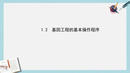 人教版高中生物选修三1.2《基因工程的基本操作程序》ppt精讲课件