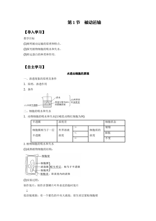 学案1：4.1 被动运输