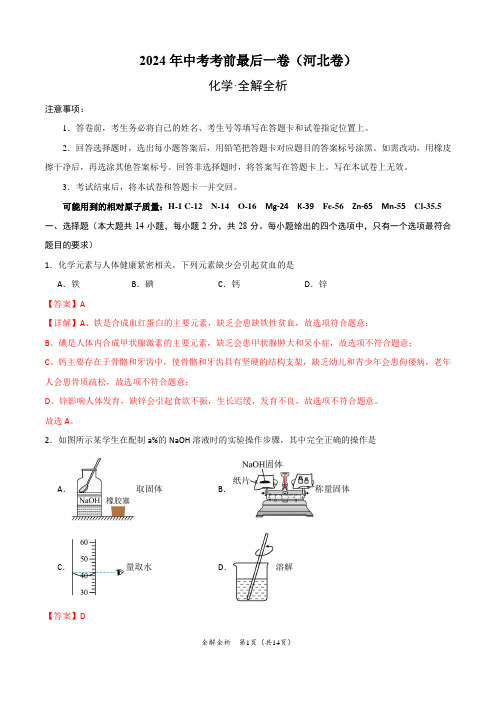 2024年中考终极押题猜想化学(河北卷)(全解全析)