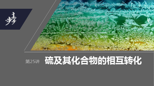 2024年高考化学一轮复习(全国版) 第4章 第25讲 硫及其化合物的相互转化