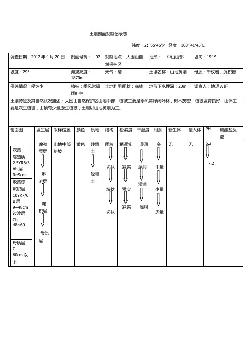 土壤剖面观察记录表