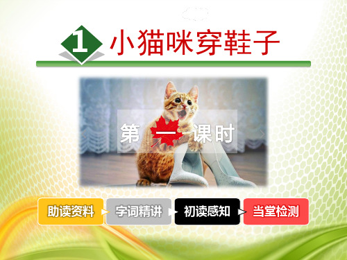 《小猫咪穿鞋子》PPT课件[优秀课件]