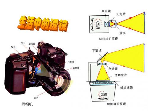 八年级物理凸透镜成像的规律