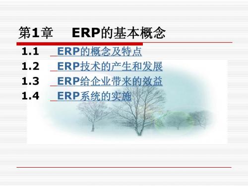 ERP的基本概念