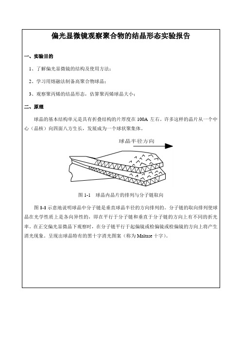 偏光显微镜观察聚合物的结晶形态实验报告