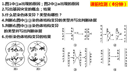 【课件】高三生物一轮复习课件：第21讲 染色体变异与育种