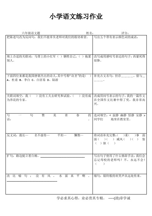 小学六年级语文课堂延伸练习I (18)