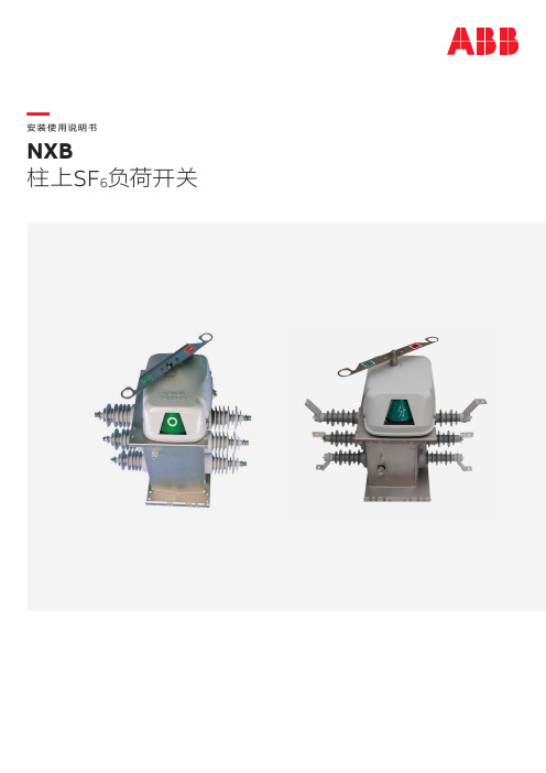 NXB柱上SF6负荷开关安装使用说明书