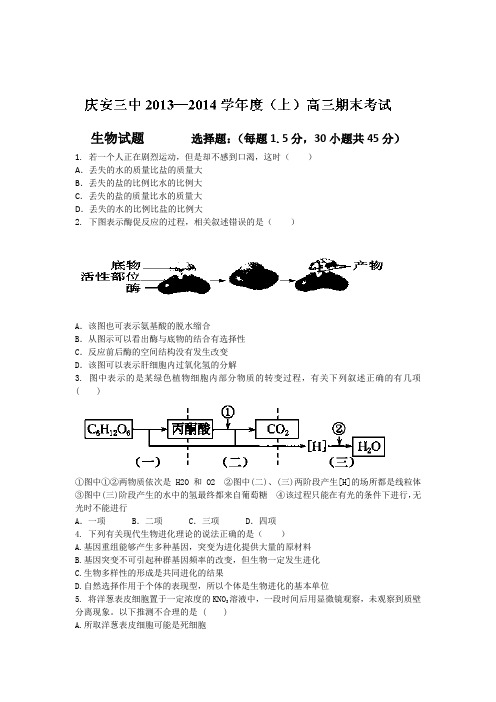 黑龙江省庆安县第三中学2014届高三上学期期末考试生物试题 Word版含答案