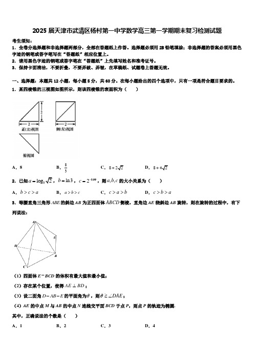 2025届天津市武清区杨村第一中学数学高三第一学期期末复习检测试题含解析