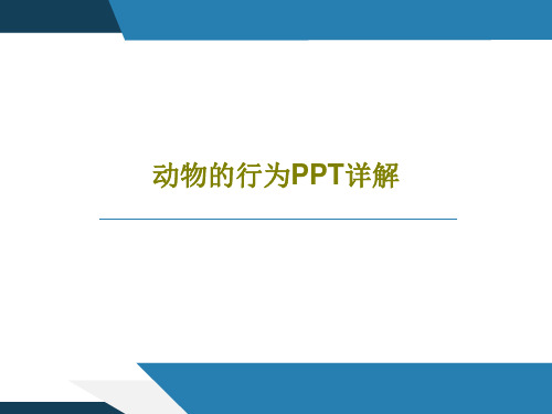 动物的行为PPT详解共39页